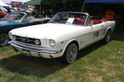 Mustang